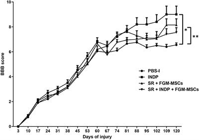 Use of a Combination Strategy to Improve Morphological and Functional Recovery in Rats With Chronic Spinal Cord Injury